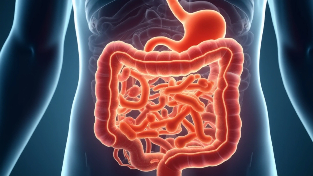 Common Gut Health Issues